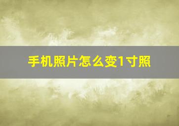 手机照片怎么变1寸照