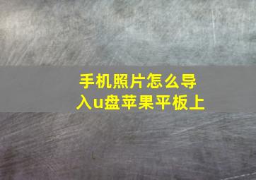 手机照片怎么导入u盘苹果平板上