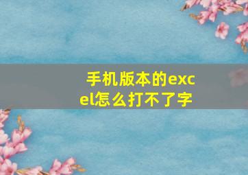 手机版本的excel怎么打不了字