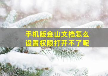 手机版金山文档怎么设置权限打开不了呢