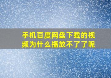 手机百度网盘下载的视频为什么播放不了了呢