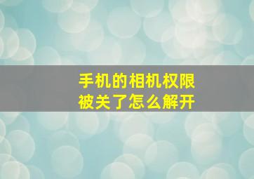 手机的相机权限被关了怎么解开