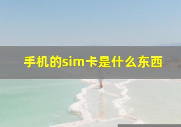 手机的sim卡是什么东西