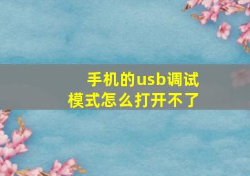 手机的usb调试模式怎么打开不了