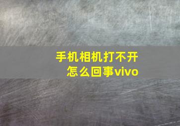 手机相机打不开怎么回事vivo