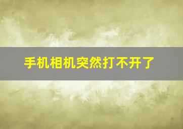 手机相机突然打不开了