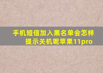 手机短信加入黑名单会怎样提示关机呢苹果11pro