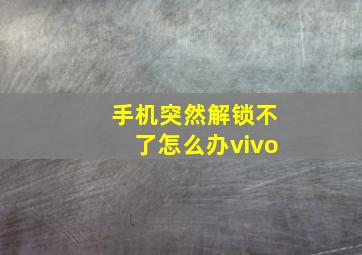 手机突然解锁不了怎么办vivo