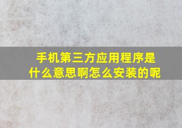 手机第三方应用程序是什么意思啊怎么安装的呢