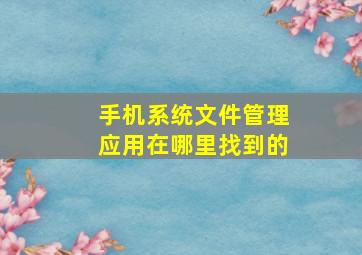 手机系统文件管理应用在哪里找到的