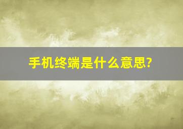 手机终端是什么意思?