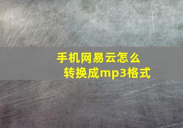 手机网易云怎么转换成mp3格式