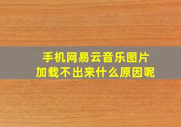 手机网易云音乐图片加载不出来什么原因呢