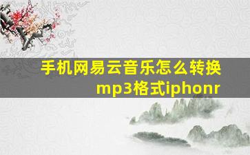 手机网易云音乐怎么转换mp3格式iphonr