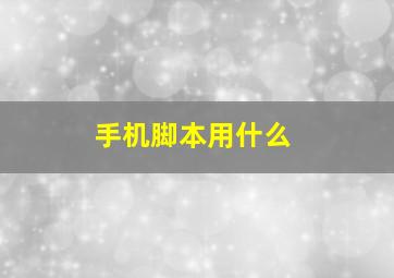 手机脚本用什么