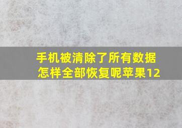 手机被清除了所有数据怎样全部恢复呢苹果12