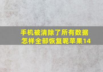 手机被清除了所有数据怎样全部恢复呢苹果14