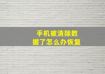 手机被清除数据了怎么办恢复