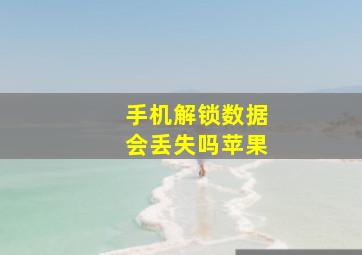 手机解锁数据会丢失吗苹果