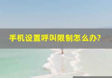 手机设置呼叫限制怎么办?