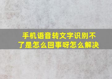 手机语音转文字识别不了是怎么回事呀怎么解决