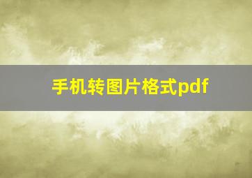 手机转图片格式pdf