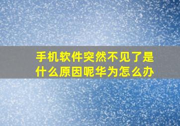 手机软件突然不见了是什么原因呢华为怎么办