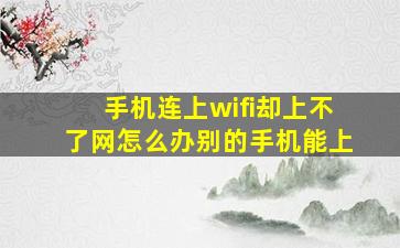 手机连上wifi却上不了网怎么办别的手机能上