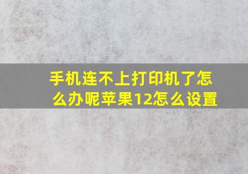 手机连不上打印机了怎么办呢苹果12怎么设置