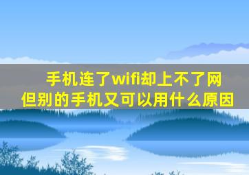 手机连了wifi却上不了网但别的手机又可以用什么原因