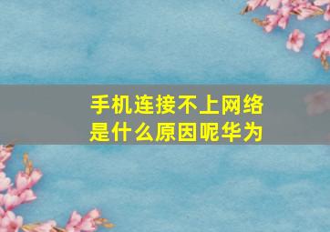 手机连接不上网络是什么原因呢华为