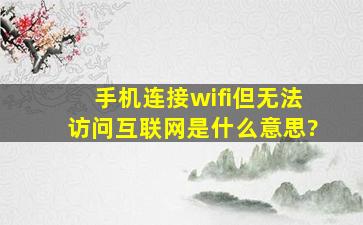 手机连接wifi但无法访问互联网是什么意思?