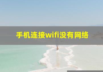 手机连接wifi没有网络