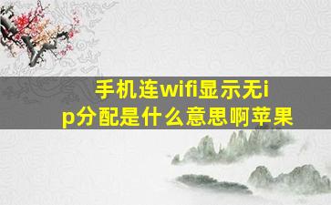 手机连wifi显示无ip分配是什么意思啊苹果