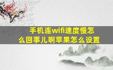 手机连wifi速度慢怎么回事儿啊苹果怎么设置