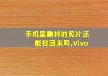 手机里删掉的照片还能找回来吗,Vivo