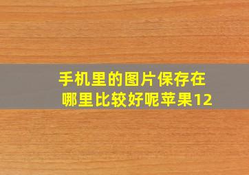 手机里的图片保存在哪里比较好呢苹果12