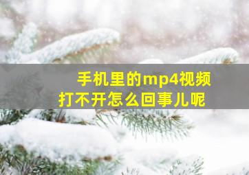 手机里的mp4视频打不开怎么回事儿呢