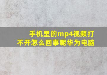 手机里的mp4视频打不开怎么回事呢华为电脑