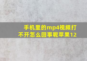 手机里的mp4视频打不开怎么回事呢苹果12