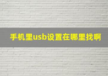 手机里usb设置在哪里找啊