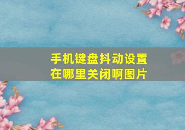 手机键盘抖动设置在哪里关闭啊图片