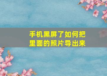 手机黑屏了如何把里面的照片导出来