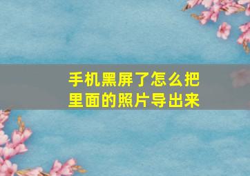 手机黑屏了怎么把里面的照片导出来