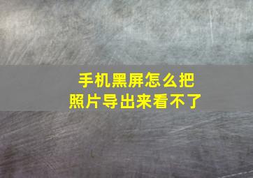 手机黑屏怎么把照片导出来看不了