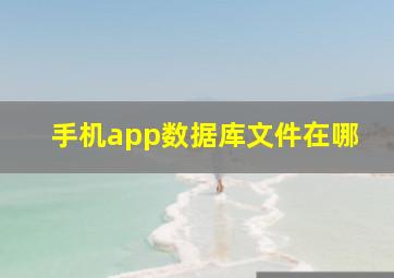 手机app数据库文件在哪