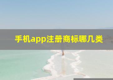 手机app注册商标哪几类