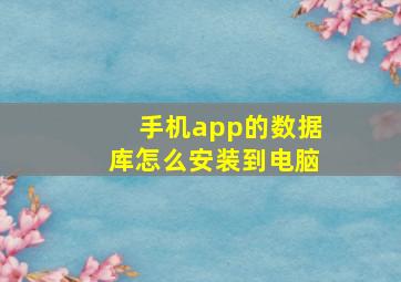 手机app的数据库怎么安装到电脑