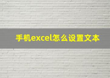 手机excel怎么设置文本