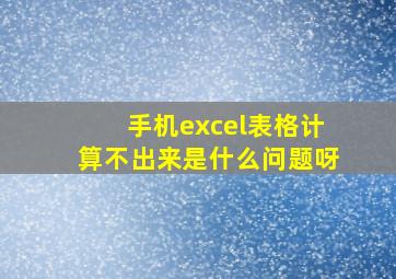 手机excel表格计算不出来是什么问题呀